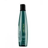 Shampoo Antivolume Slym Aneethun 250 ml